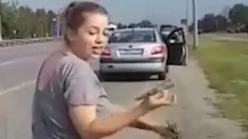 Дъжд от долари се изсипа на магистрала, народът се юрна да събира