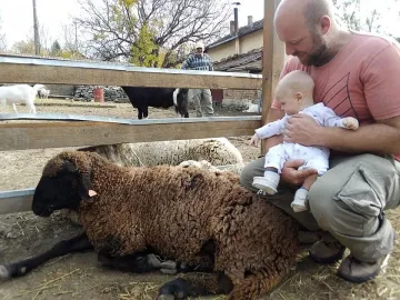 Бебе англичанче се роди в Хотница, кръстиха го на овена Райко