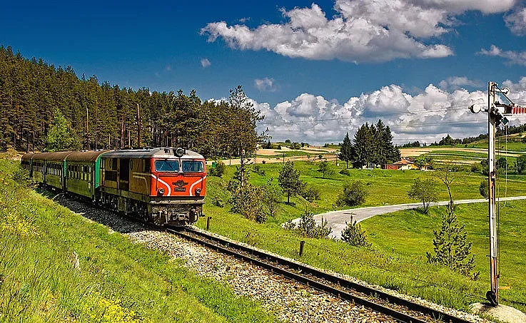 Лоши новини за родопската теснолинейка