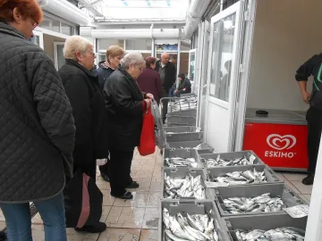 Морето пълно с риба, цената на сафрида и чернокопа рекордно ниска