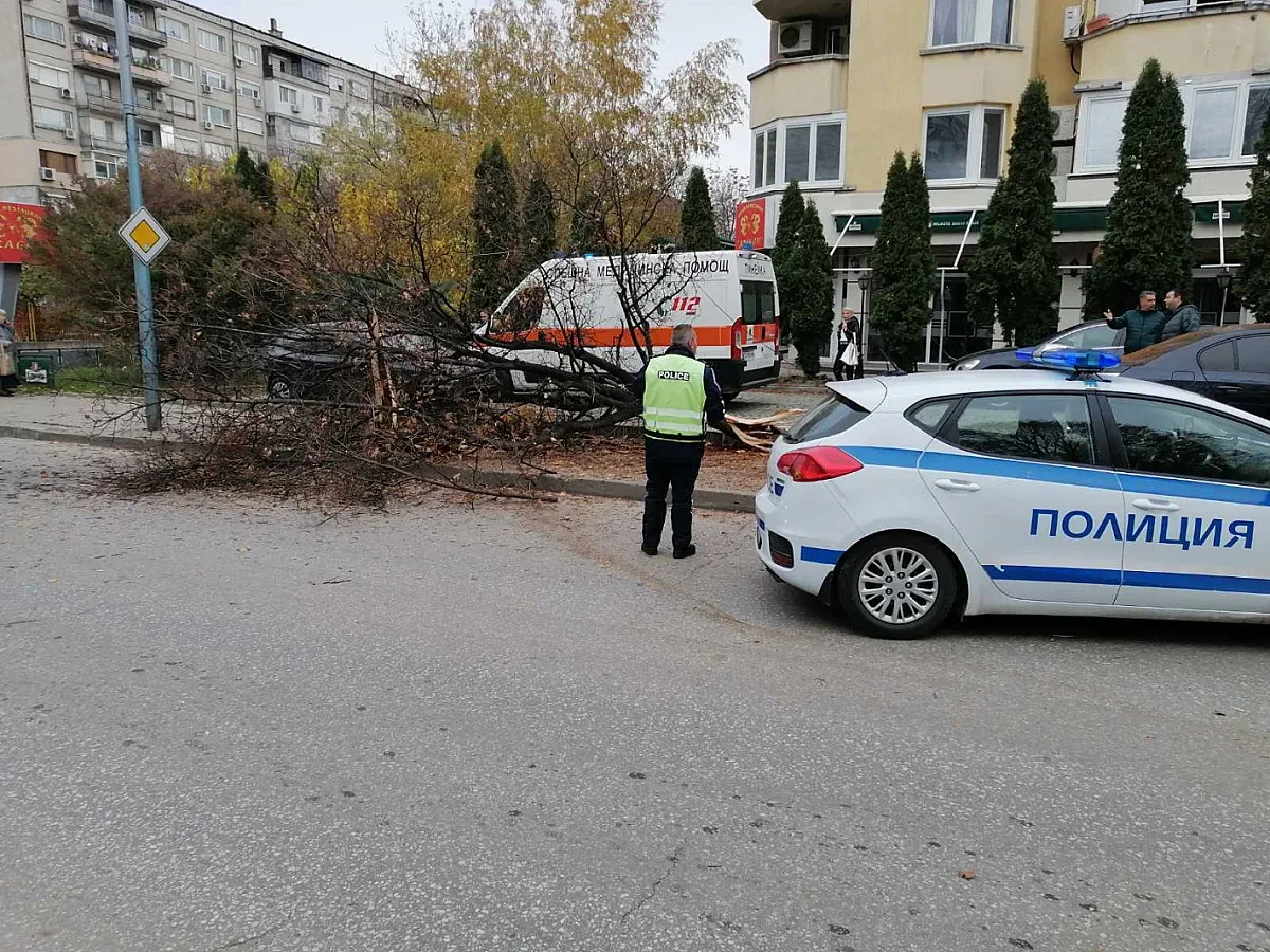 Луд екшън: Порше се заби в дърво, което падна върху 3-ма пешеходци