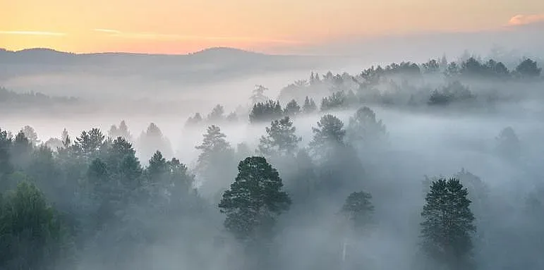 Живакът пада под нулата, кога да чакаме сняг