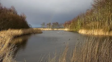 Хладното време продължава, последни дни преди очаквания сняг