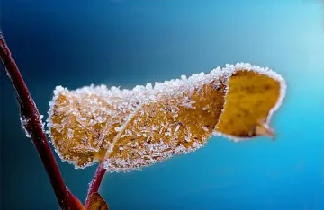 Къде е най-топло у нас утре