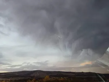 Рядко явление - медузи в небето, самолетите са в опасност