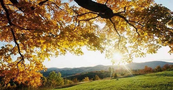 Идва Циганското лято, но преди това...