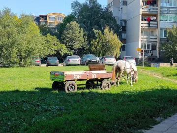София забранява каруците, арестуват конете
