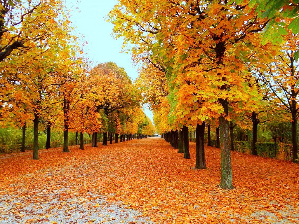 Циганско лято и днес