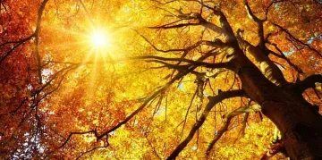 Започва циганско лято с над 20°, докога ще продължи?