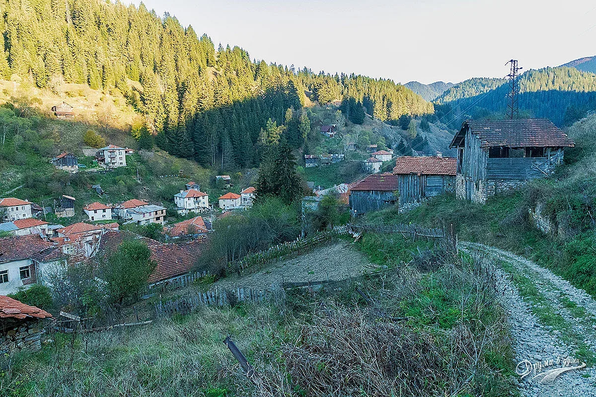 Неочакван гост в родопско село. Хиляди му се радват /ВИДЕО и СНИМКИ/