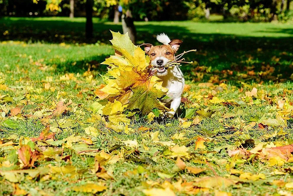 Кога спира дъждът? Климатолог с прогноза за избухване на есента