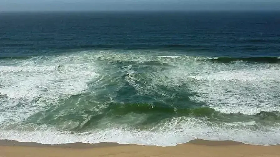 Появи се нещо зловещо в морето. Бургас изтръпна