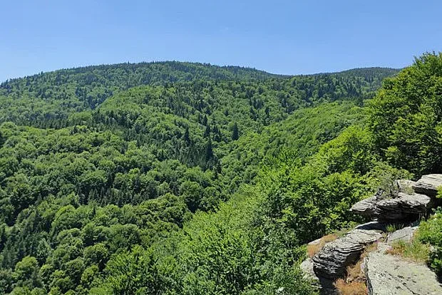 Спасение от жегата! Уникално място у нас, по което полудяха