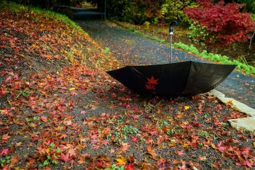 Сиво време. Малко дъжд, много облаци