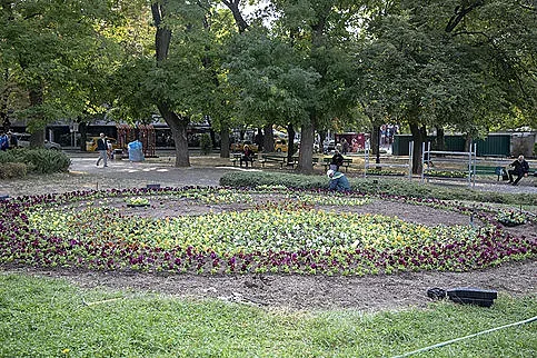 Хиляди нови цветя ще красят Стара Загора за празника на града