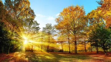 Чудно време, лято през уикенда