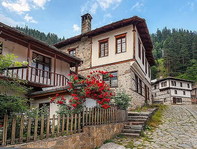 90 000 са новите селяни у нас