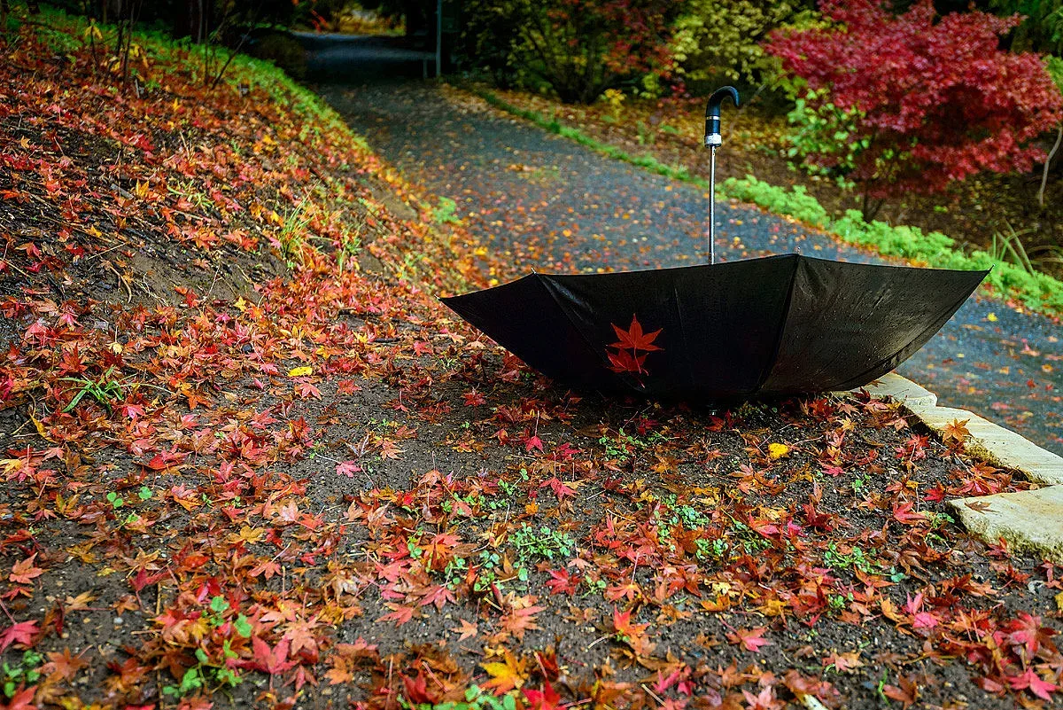 Обрат във времето. Кога пак ще се затопли?