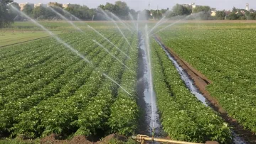 Сметната палата: "Напоителни системи" е в критично състояние