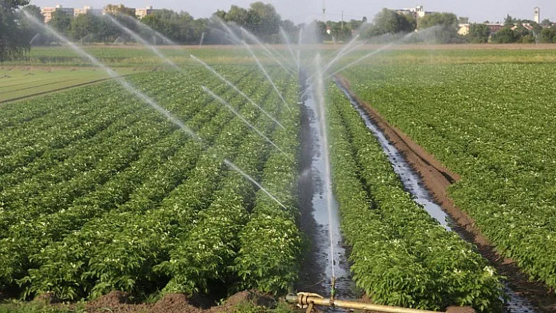 Сметната палата: "Напоителни системи" е в критично състояние