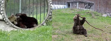 Райското кътче Белица