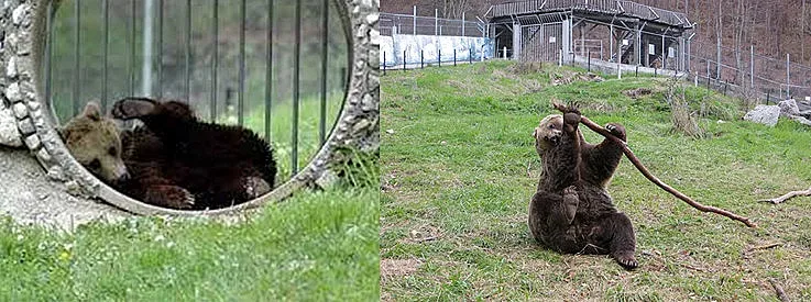 Райското кътче Белица