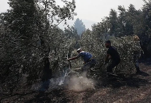 Пак пожар в Гърция, евакуират хора, спират магистрала