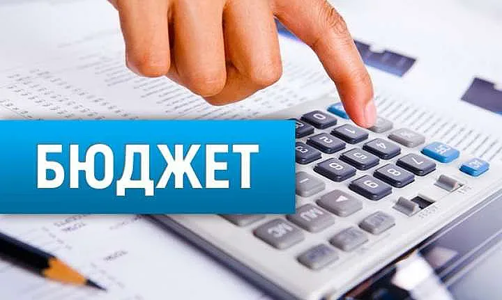 Бюджетът като смокинов лист