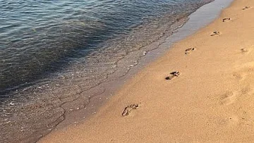 Локализираха разлив на нефт в Черно море