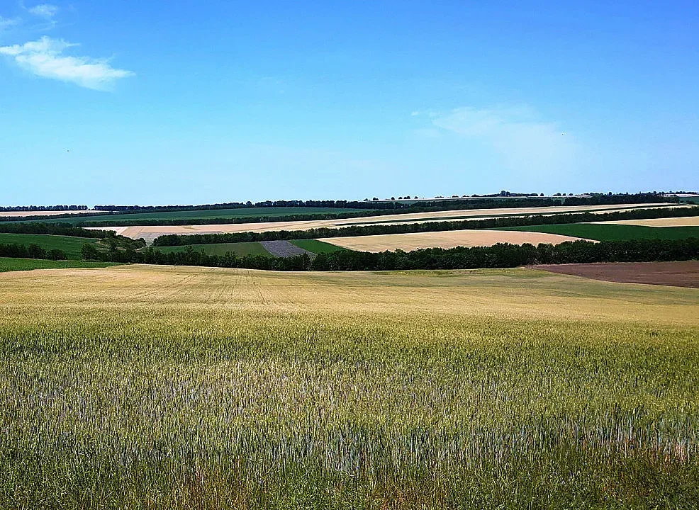 В Перник забраниха пушенето и паркирането до нивите