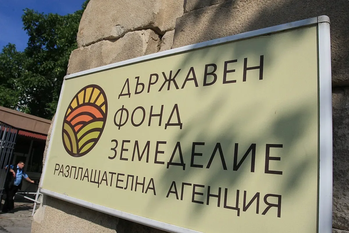 Освободиха шеф в "Земеделие", бил ли е бухалка?
