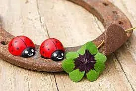 Виц: Разговор между клошари за късмета