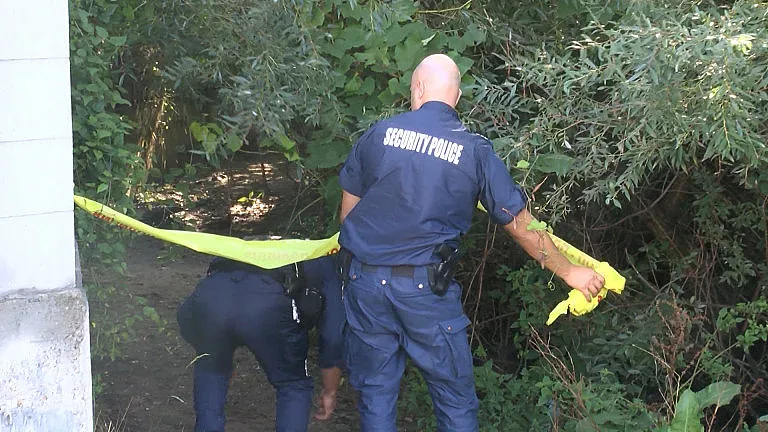 Дрогиран ли е бил мъжът, убил с паве жена на пейка?