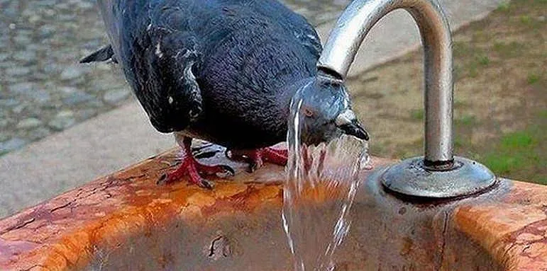 Пържим се в жега до 38 градуса