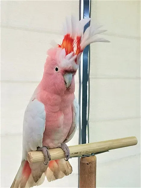 Две невероятни живи изложения очакват от днес в експоцентър „Флора“