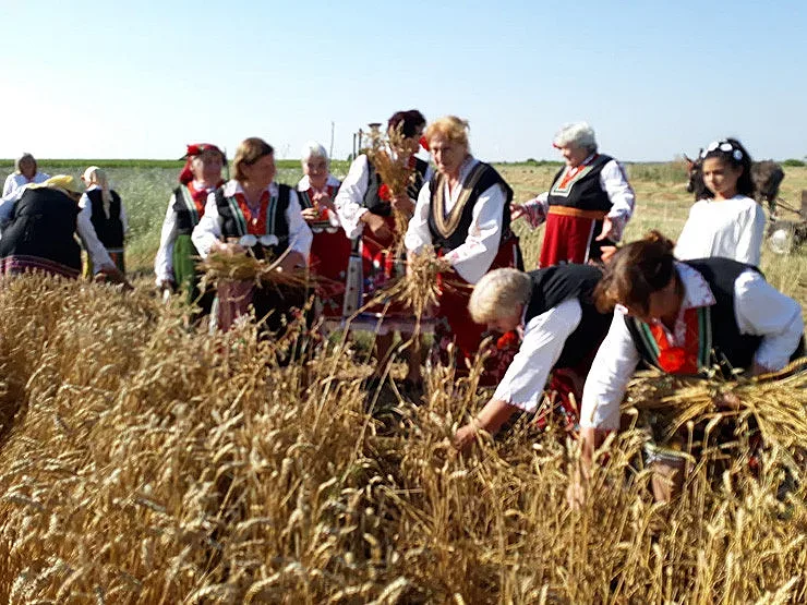Празник на пшеницата в старозагорското село Пшеничево