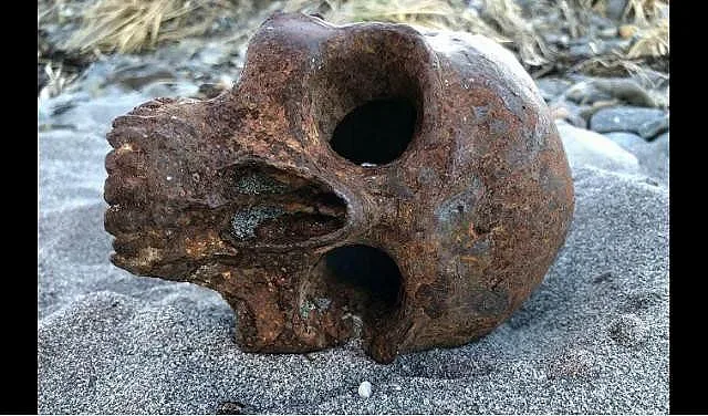 Историческо откритие! Череп на нов вид човек