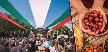 Рисуват картини с червени и бели череши