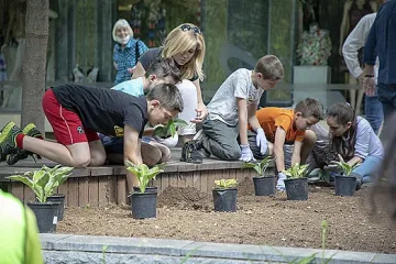 Четвъртокласници засадиха 150 цветя в центъра на Стара Загора