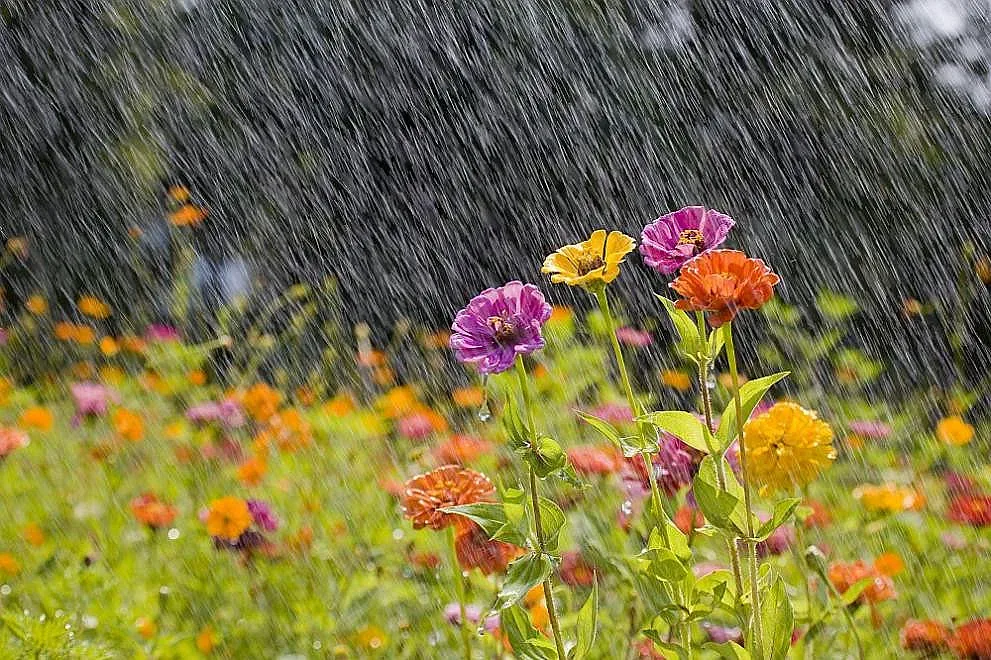 Пак ще вали и трещи, но скоро ще е до 35 градуса