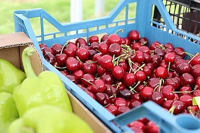 Изделия от дърво за първи път на фермерския пазар на Lidl