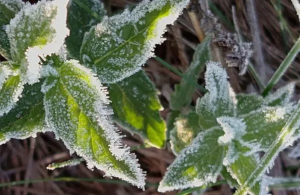 Странна аномалия с времето, невиждана от 2005 г.