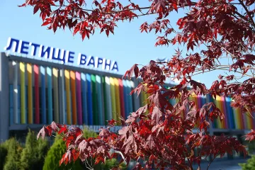 Руските туристи идват, ще има ли по-бързи визи?