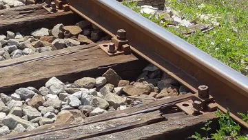 Трагедия. Влакът Бургас-София уби 22 животни