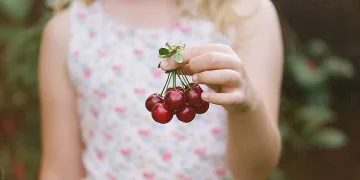 7 невероятни ползи от черешите
