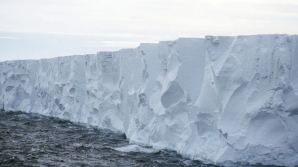 Адските жеги докараха нещо невиждано на Антарктида