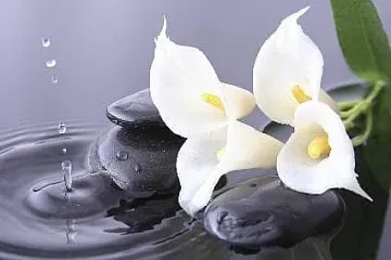 Коя вълшебна вода сваля кръвното