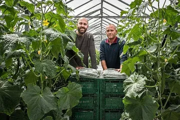 Гард Инвест: Kaufland ни помага да предлагаме качествени зеленчуци