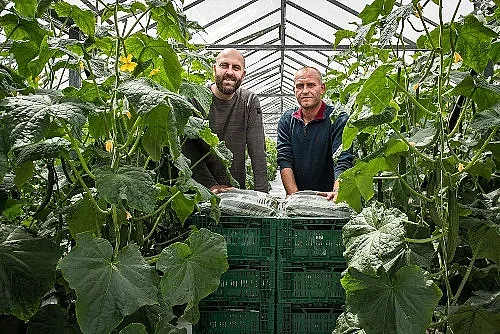 Гард Инвест: Kaufland ни помага да предлагаме качествени зеленчуци