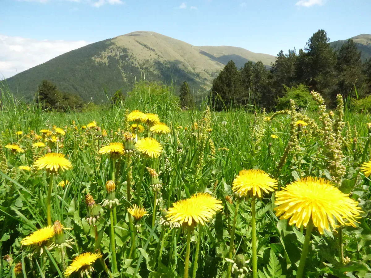 Сутрин хладно, после слънчево и топло